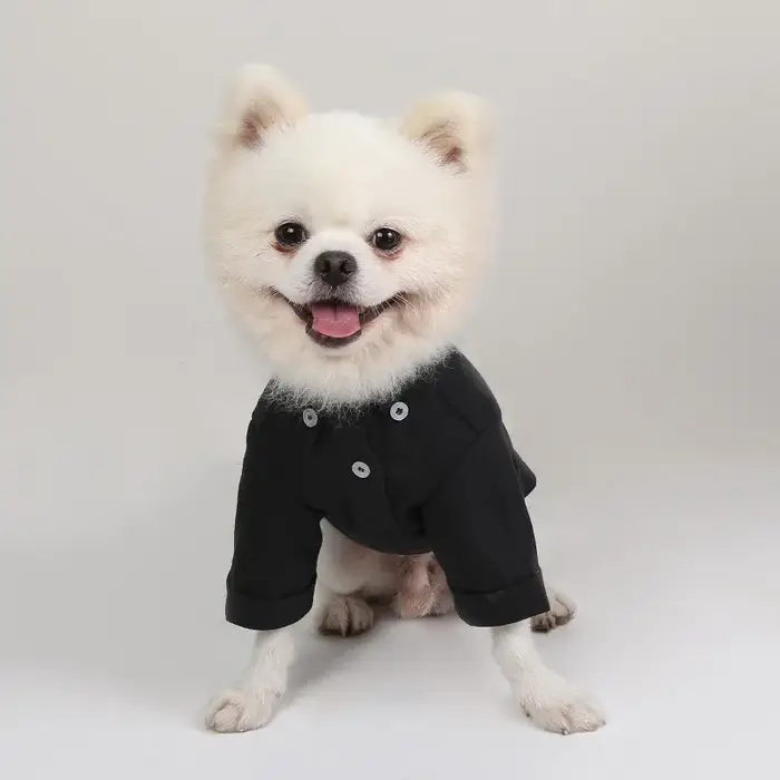 Chemises à bascule pour animaux de compagnie, vêtements polyvalents et Slim pour chiens, Boutique, v