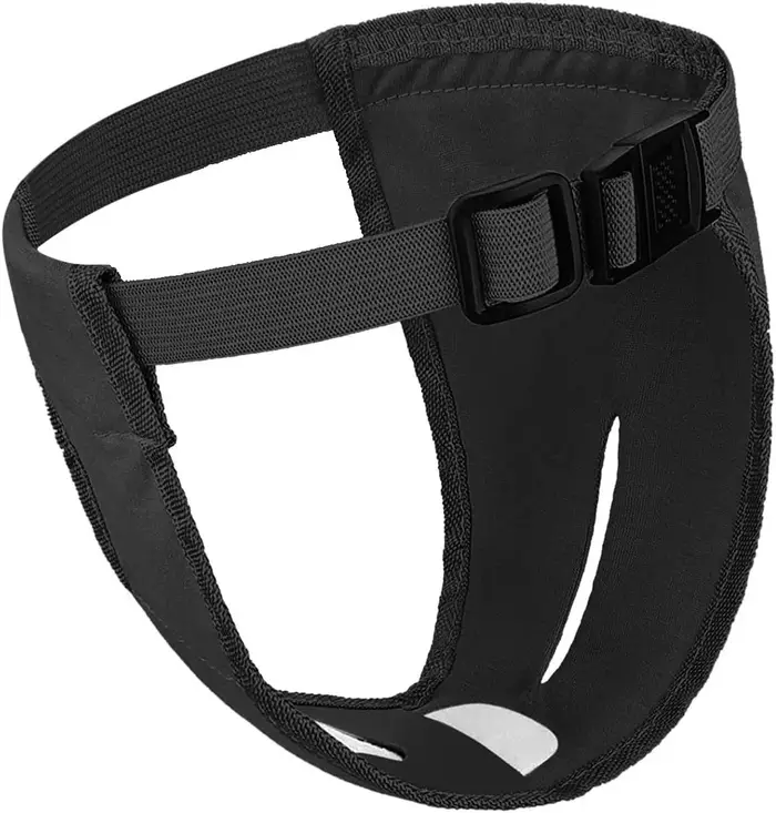 Culotte réglable pour chien féminin, pantalon physiologique sanitaire menstruel, couches réutilisabl