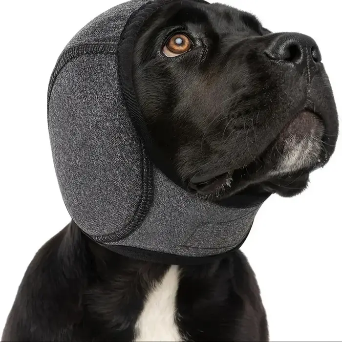 Cache-oreilles pour chien, réduction du bruit, isolation acoustique, imperméable, pour la natation, 