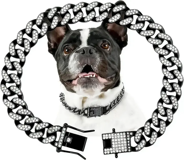 Collier pour chien en or et diamants, chaîne métallique sécurisée avec boucle design, collier bijou 