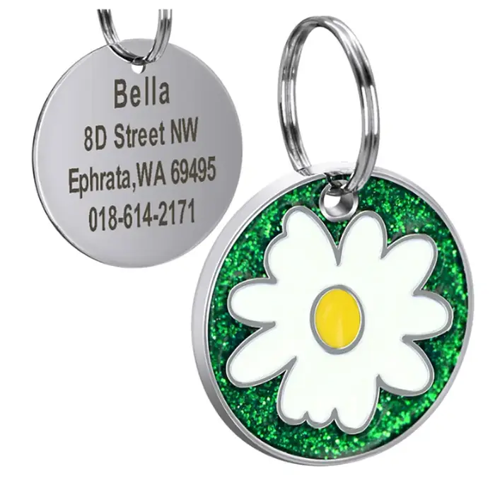 Plaque d'identification personnalisée pour chien, accessoire de collier pour animaux de compagnie, é