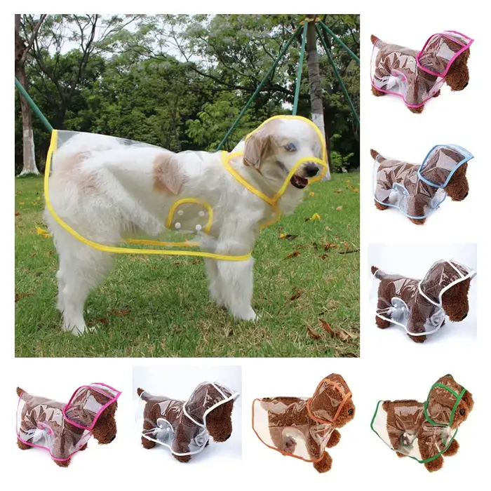 Vêtements à la mode pour animaux de compagnie