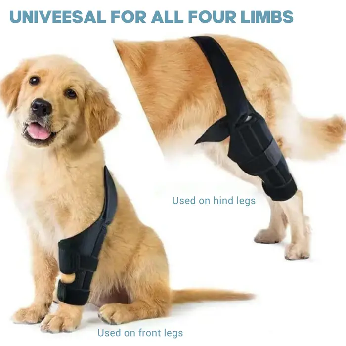 Genouillère pour chien pour jambe déchirée, Support solide, attelle pour jambes arrière et avant