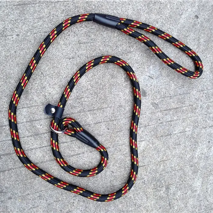 Laisse pour chien avec poignée rembourrée confortable, Double corde de Traction robuste, chaîne en N