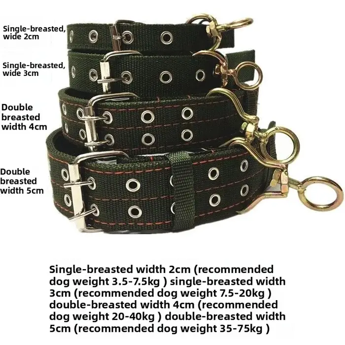 Collier pour chien robuste et large