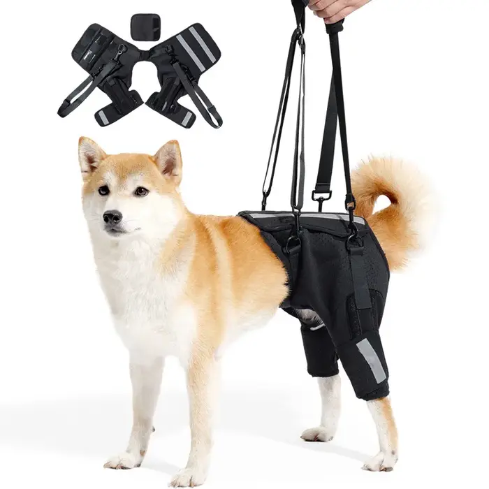 Harnais de soutien pour pattes arrière de chien, harnais de levage respirant pour grands chiens, ban