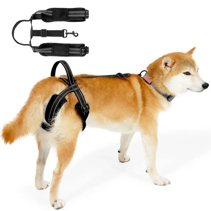 Écharpe pour chien pour Support de jambe arrière pour chiens, harnais de levage pour la rééducation 