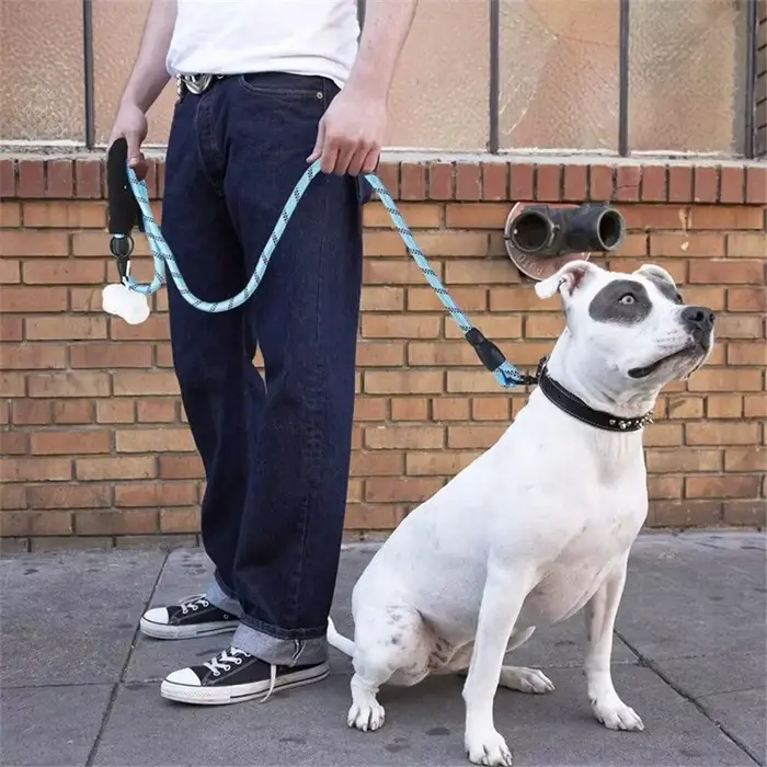 Laisse pour chien Casting avec poignée rembourrée confortable