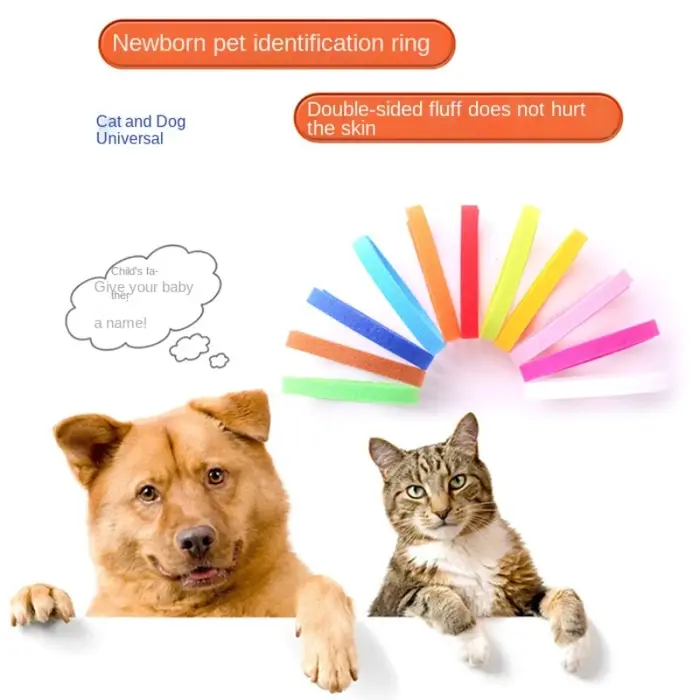 12 pièces colliers pour animaux de compagnie chien chat crochet et boucle collier d'identification chaton chiot Id