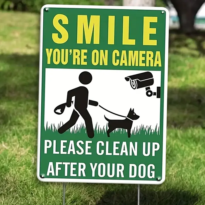 Après avoir nettoyé la caméra, votre chien... Plaques en étain humoristiques - 8"x12", Décoration am
