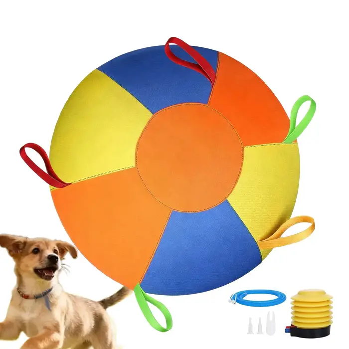 NOUVEAU Ballon interactif apaisant pour chien