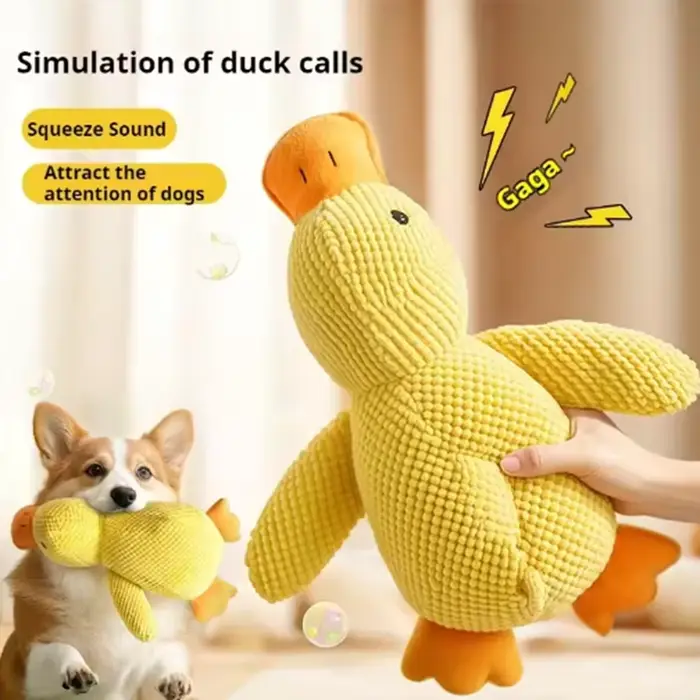 Jouet en peluche pour animaux de compagnie