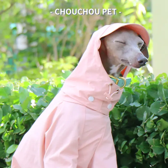 Vêtements pour animaux de compagnie Whippet lévrier italien pour l'automne protection solaire extérieure