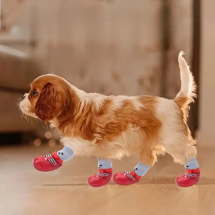 Chaussures de protection pour pattes de chien