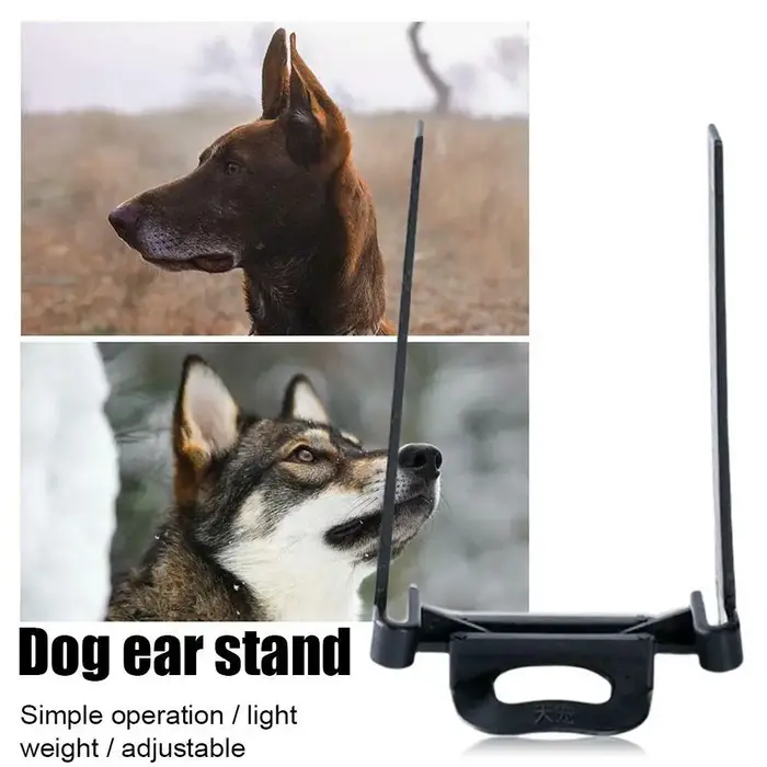 Correcteur d'oreilles pour chien