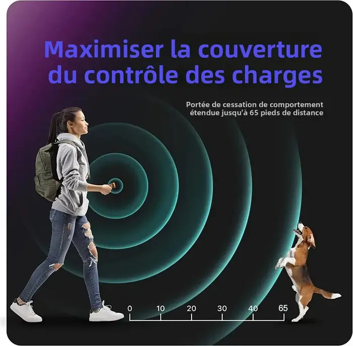 Répulsif pour chiens ​ Dispositif d'entraînement ultrasonique