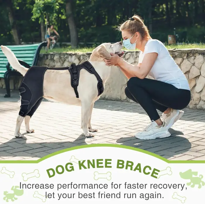 Attelle de soutien pour genou de chien avec corde de traction, conception ACL réglable pour chiens souffrant de douleurs articulaires, pattes arrière avec harnais intégré, disponible en différentes couleurs