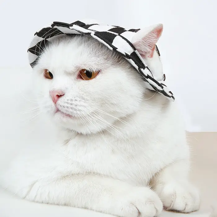 Casquette pour chien avec trous d'oreille
