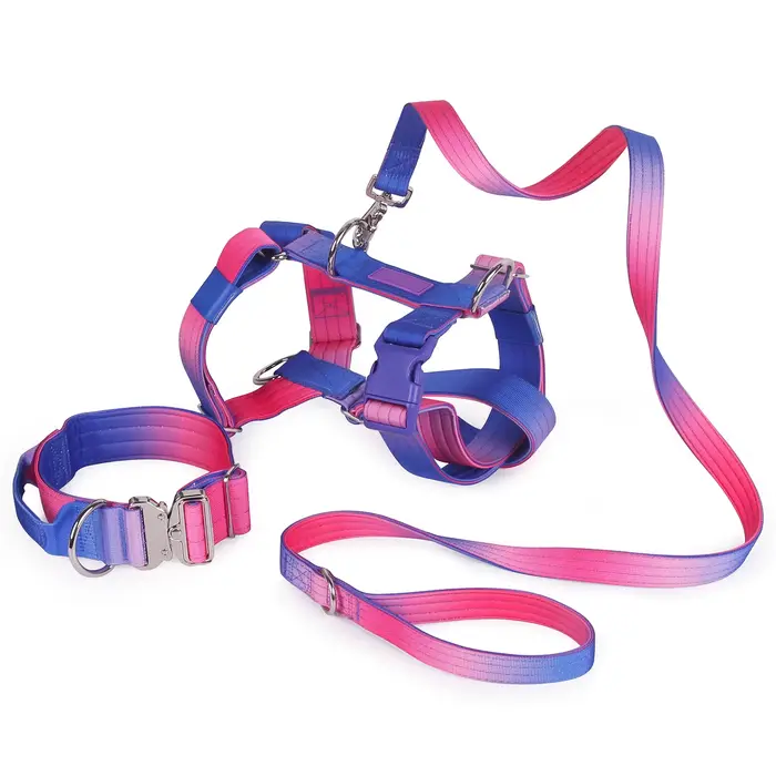 Harnais tactique pour chien robuste et élégant anti-traction entraînement extérieur anti-fuite pour chiens moyens et grands occasions spéciales balades parcs compétitions de dressage cadeau idéal