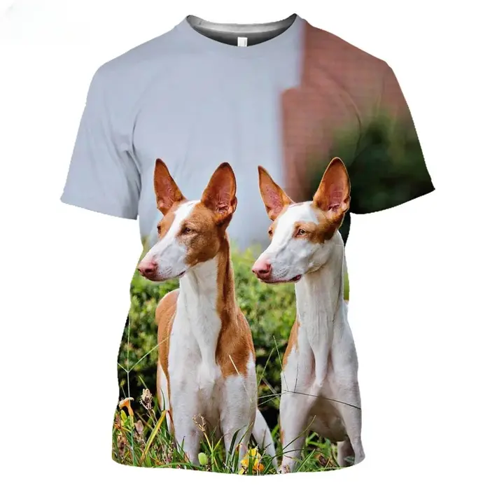 Ibizan chien chasse 3D t-shirt hommes femmes adolescent 6Xl Podenco Ibecenco