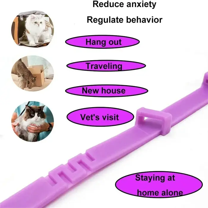 Collier apaisant pour chats