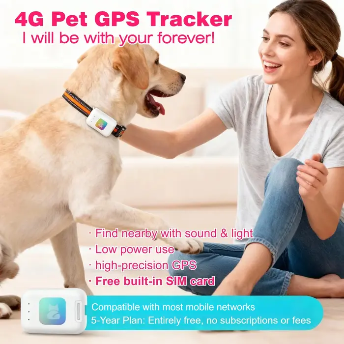 Collier intelligent de suivi GPS pour chien 4G