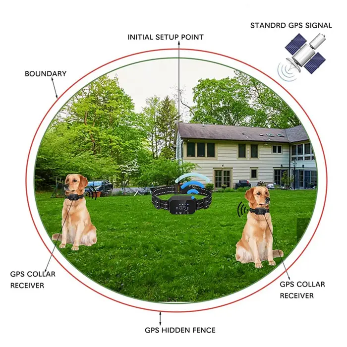 Collier de dressage électrique pour chiens