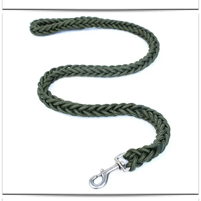Laisse pour chien pour un entraînement efficace et des promenades confortables, tressée, solide et d