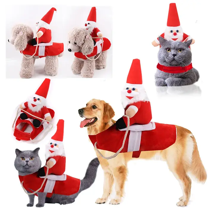 Costume pour animaux de compagnie
