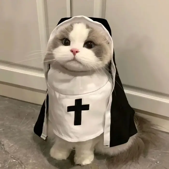 Costume de cosplay pour chat en fibre de polyester - Jésus et Nonne - Accessoires pour animaux de compagnie pour Noël et Halloween
