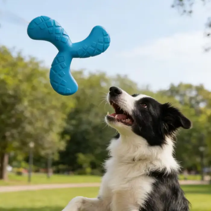 Jouet pour chiens Eva Boomerang