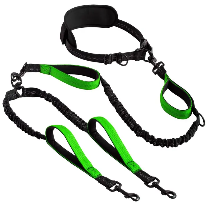 Laisse double pour chien mains libres – Double laisse pour races moyennes et grandes – Plomb pour 2 
