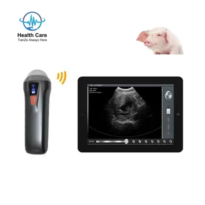 Sonde vétérinaire portative pour animaux de compagnie, cochon, mouton, grossesse, Scanner à ultrason