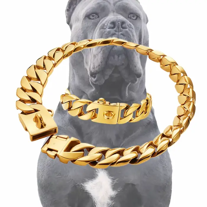 Collier en acier inoxydable doré ou argenté pour chiens grandes races occasions spéciales promenades compétitions canines cadeau anniversaire