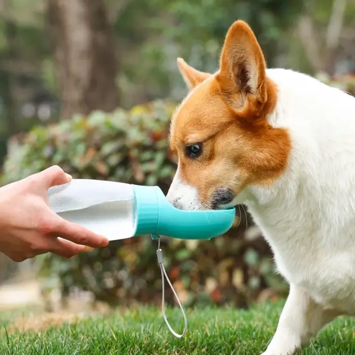 Bouteille d'eau portable 500 ml pour grands chiens