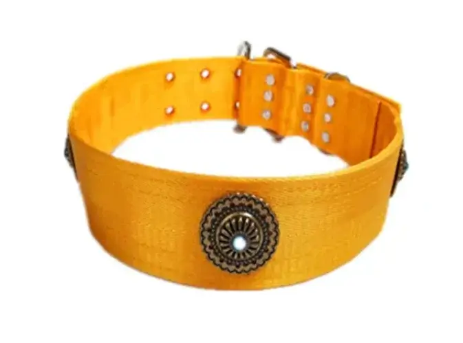 Collier et laisse en nylon doré pour chiens, réglables et durables, pour chiens de taille moyenne et