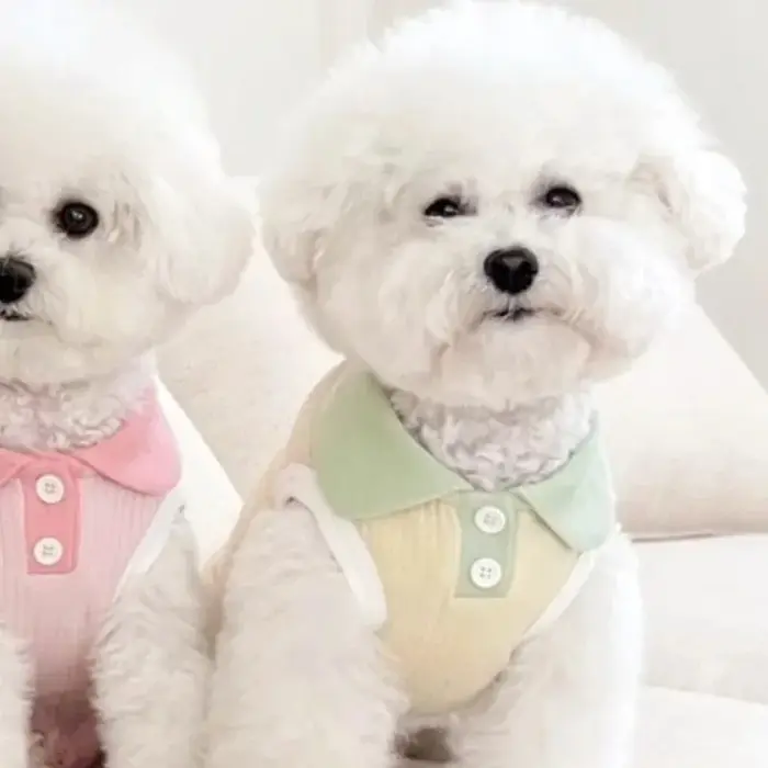 Vêtements pour chien printemps-été, chemise tendance pour animaux de compagnie, sweat-shirt décontra