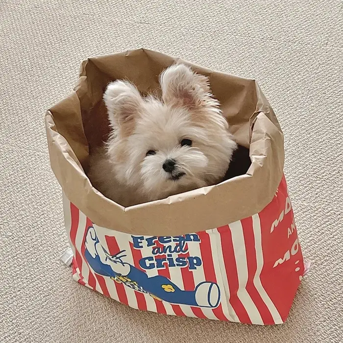 Jouet à mâcher sonore en forme de sac de pop-corn pour chien et chat divertissant et relaxant pour occasions spéciales