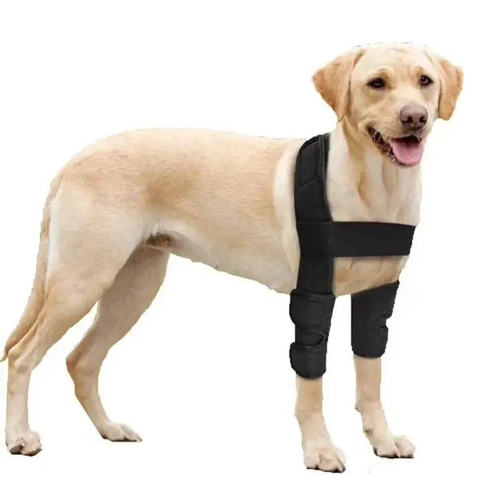 Le coussinet de protection du coude pour chien convient au soutenir l'humidité du coude et des épaul