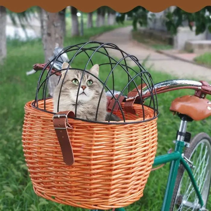 Panier de transport pour animaux de compagnie avec couvercle