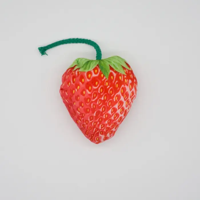 Jouets couinants en forme de légumes pour chiens de différentes tailles et couleurs pour jouer et s'amuser dehors