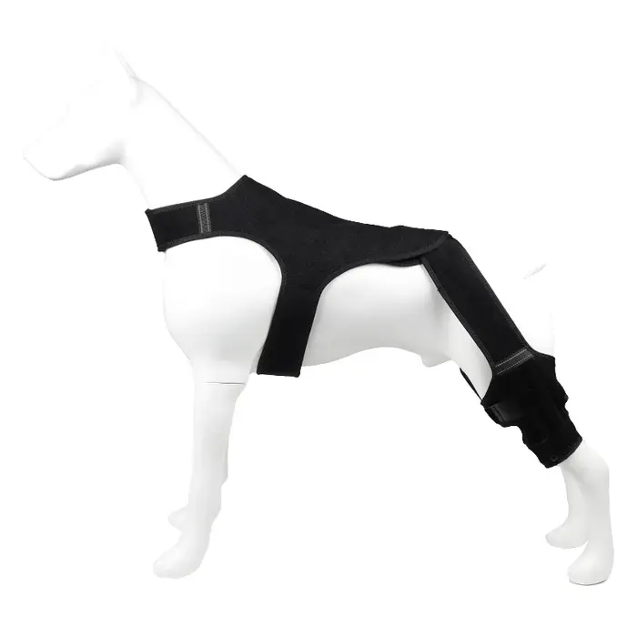 Protecteur d'articulation de la patte arrière du chien avec bande réfléchissante, sangle réglable, s