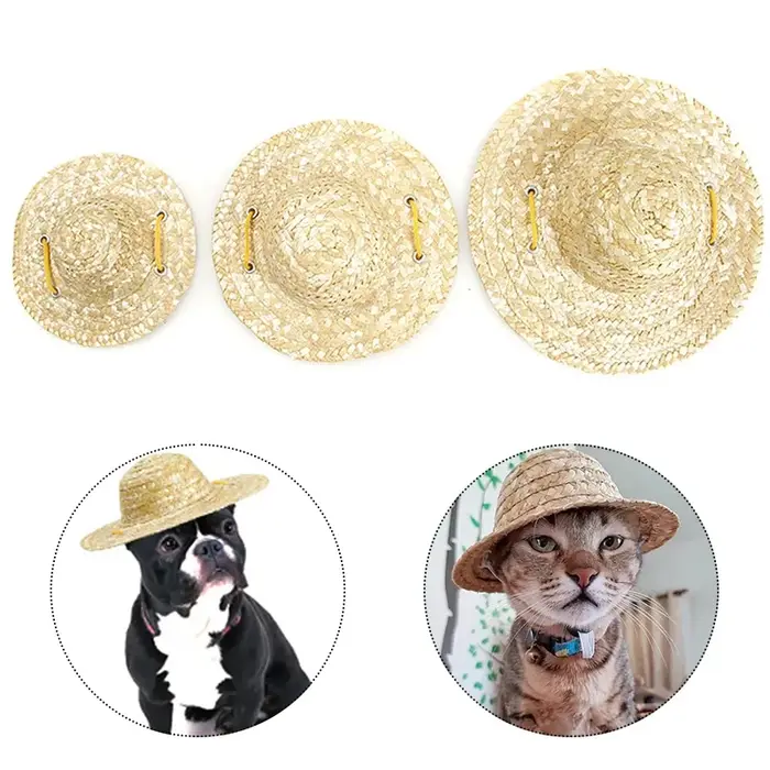 Chapeau de paille tissé pour animaux de compagnie, chapeau de soleil pour chien, Sombrero pour petit