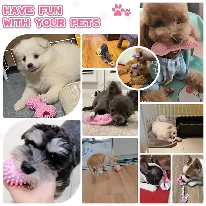 Jouets à mâcher pour chiens en caoutchouc souple rose et autres couleurs pour nettoyer les dents et favoriser le jeu interagissant avec des friandises pour petits et moyens chiens occasions spéciales