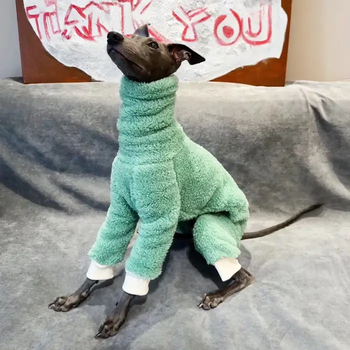 Vêtements d'hiver pour chiens souriants double face, vêtements chauds pour lévrier, combinaison pour