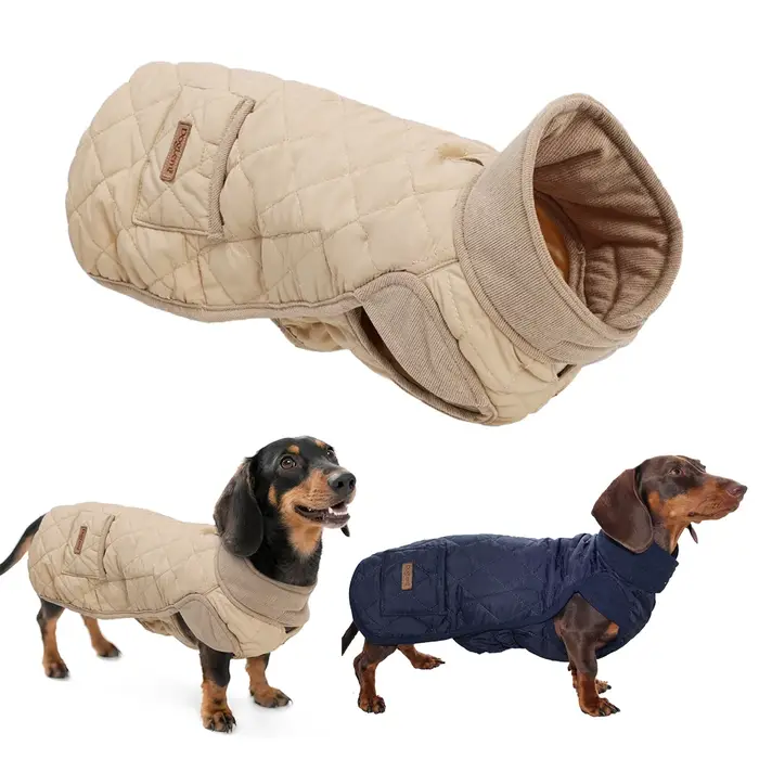 Vêtements d'automne/hiver pour chien teckel, veste douce et chaude hydrofuge pour chien à saucisses, manteau matelassé d'extérieur à jambes courtes pour chien