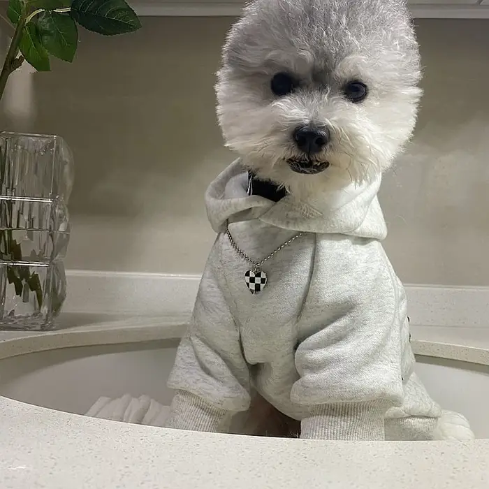 Sweat-shirts pour animaux de compagnie – Vêtements chauds printemps-automne pour chiens – Sweats à c