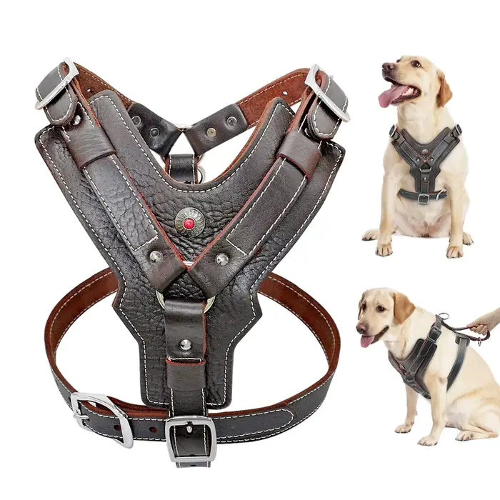 Harnais en cuir véritable Didog pour chiens de grande taille harnais de base avec poignée de contrôle rapide pour labrador pitbull toutes saisons confort sécurité et style