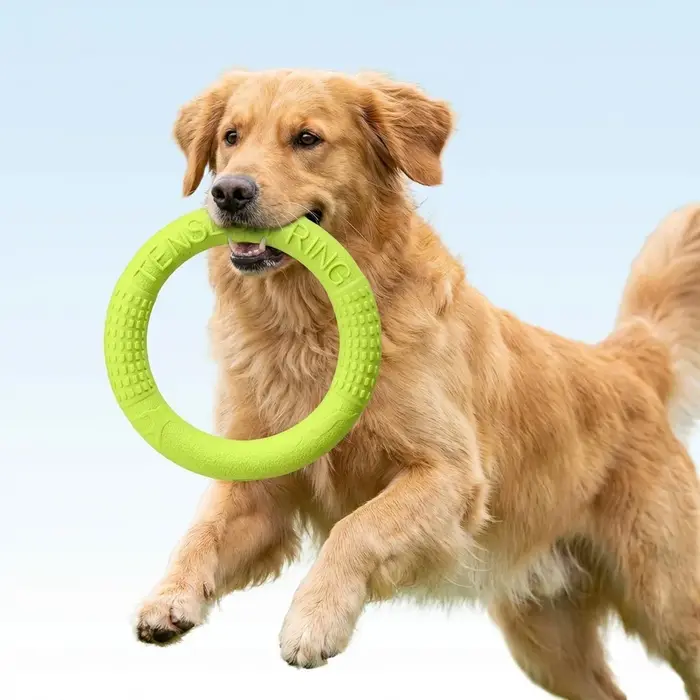 Jouets flottants pour animaux de compagnie