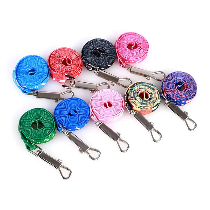 Laisse pour petit chien bon marché, laisse pour chiots, ensemble de laisse et harnais pour animaux de compagnie, ensemble de cordes en plomb mignonnes, laisse pour chaton, décoration de choses pour an